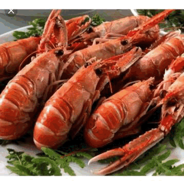 B70C6E21 9717 459D 8E73 3D837F1BC6F1