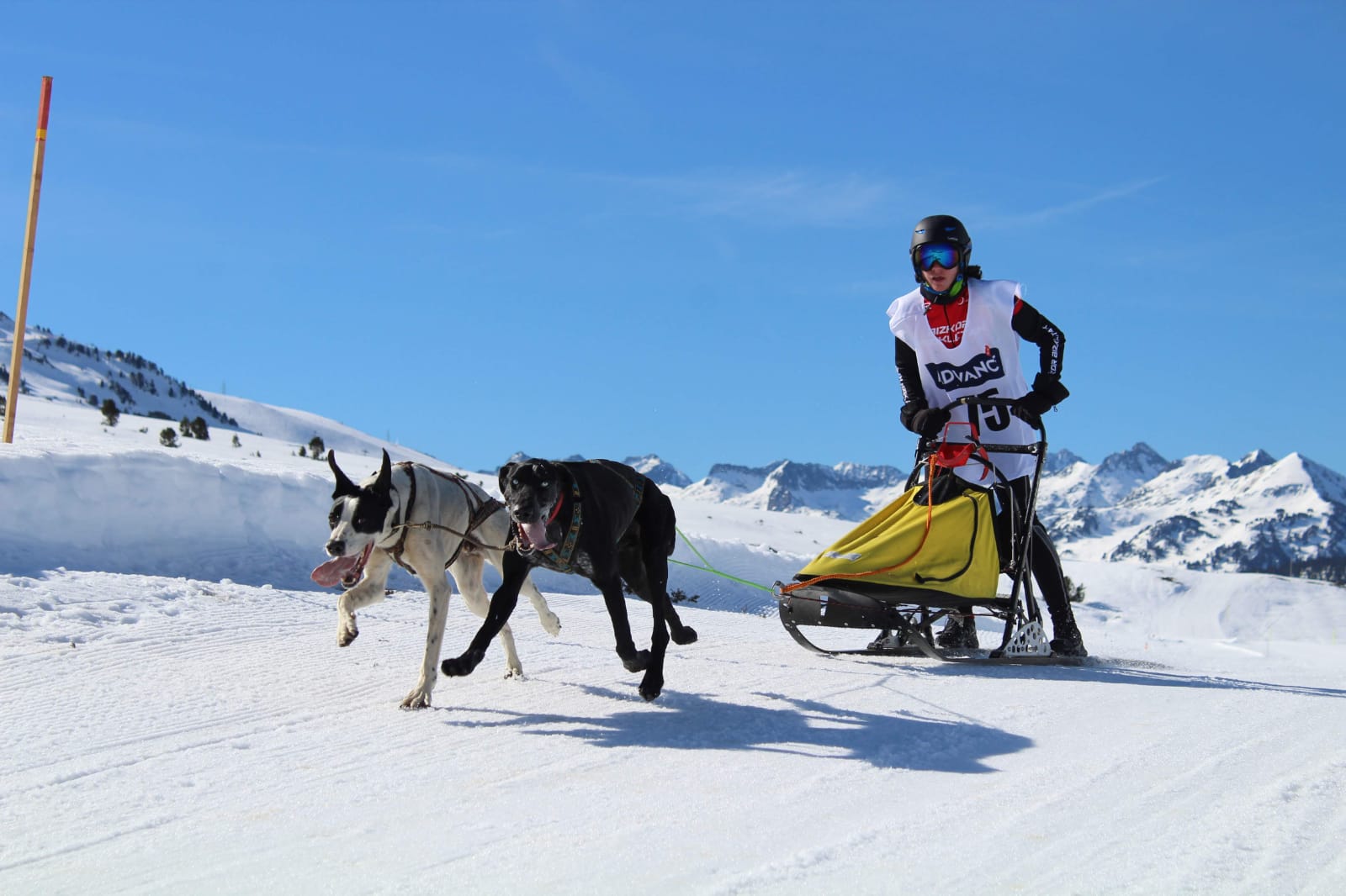 E4F39CD6 0E3F 4356 AE20 E77D257C2574