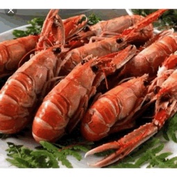 F2393191 2BB1 4310 B7F3 4BE13458919F