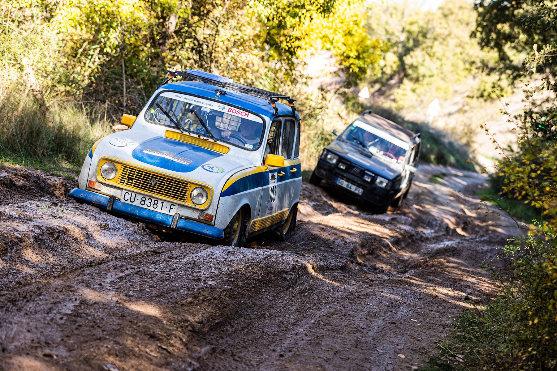 E8110A12 A5AE 44DA 8B5D 3CC712E981FD